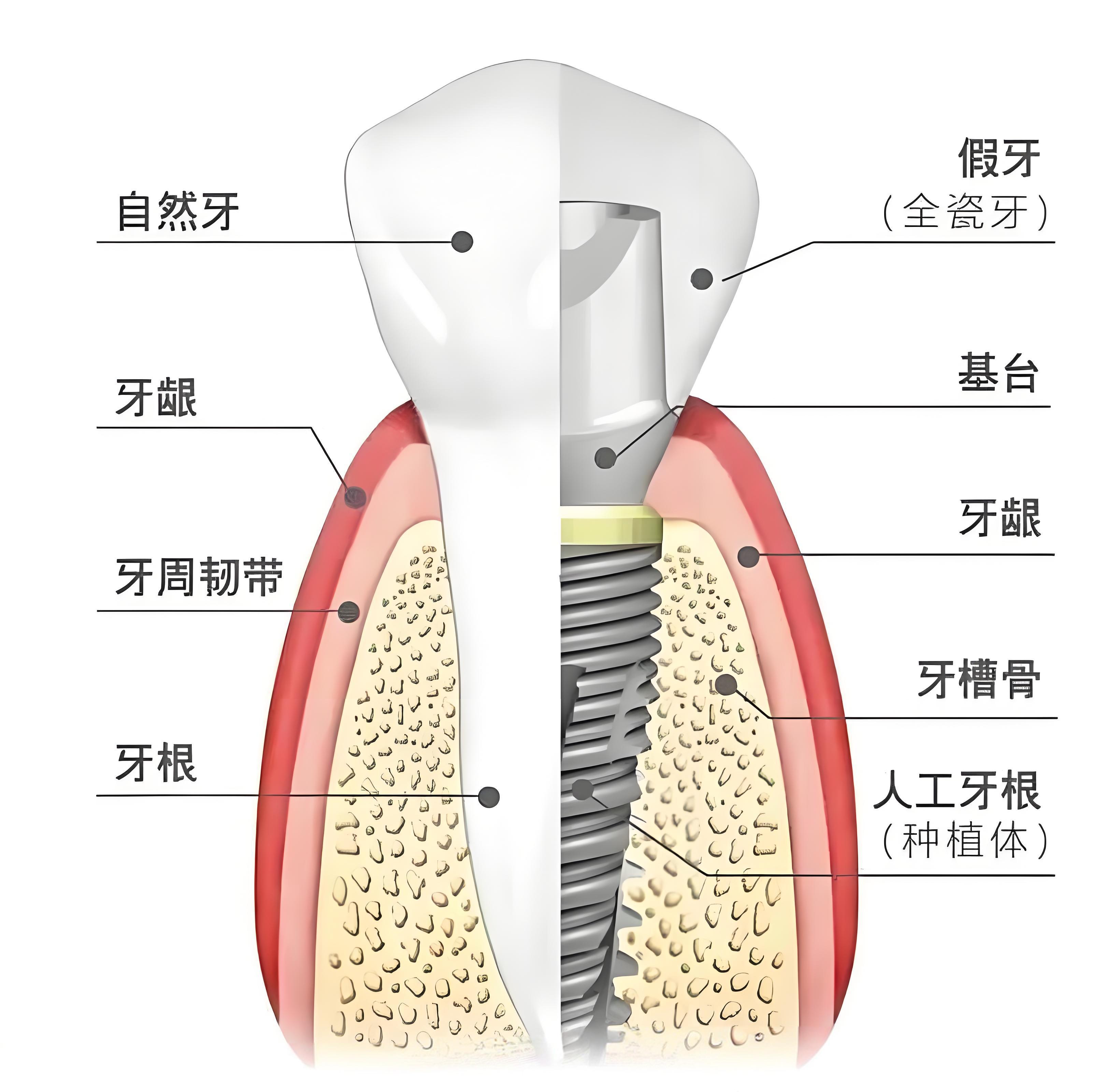 維港口腔