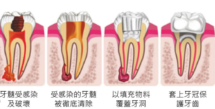 维港口腔杜牙根